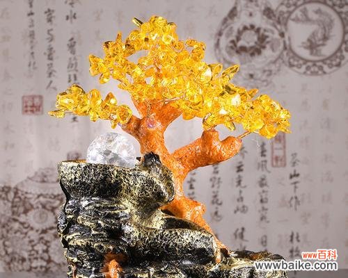 富贵 摇钱树的花语与文化象征