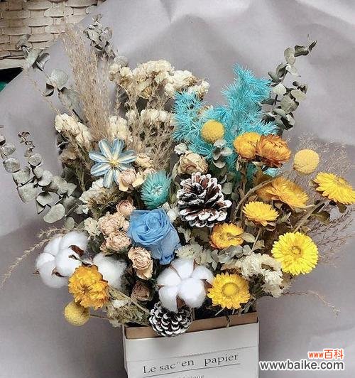 探索羊齿花语的深意 羊齿的花语与含义