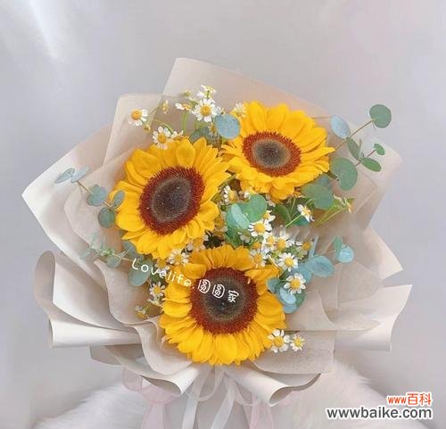 探索一朵向日葵花的含义 向日葵花的含义——阳光与希望