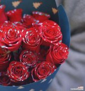 探寻银皇后花的仰慕之情 仰慕之花