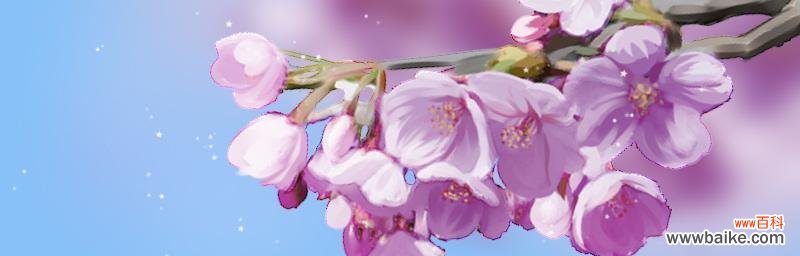 探寻樱花背后的神秘力量 樱花的花语与传说