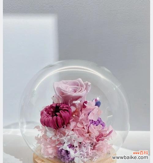 用花语故事诠释永恒的情感 永生花花语