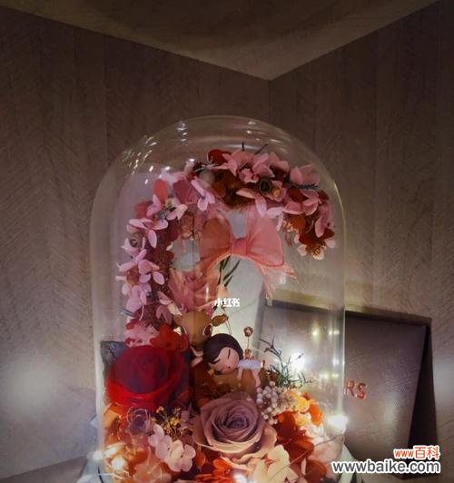 探秘永生花的神秘魅力 永生花