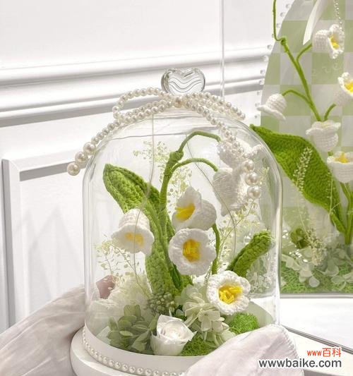 探秘永生花的神秘魅力 永生花