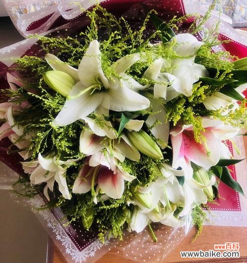 探索友谊花的意义与象征 五种代表友谊的花