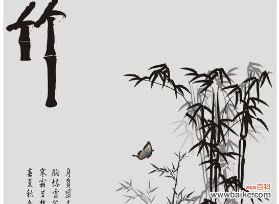 竹子的坚韧和自由精神 竹子的人生寓意与精神品质