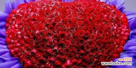 探寻栀子花在不同文化中的象征意义 栀子花的花语和寓意