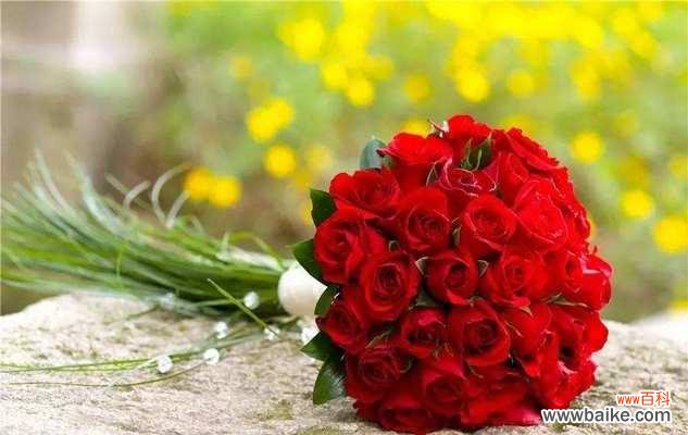 解读玫瑰的花语 13朵玫瑰代表什么花语