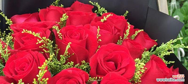 18朵玫瑰的浪漫誓言与祝福 深情表白之玫瑰花语