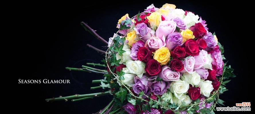 传递爱情与感激之情的方式 24朵玫瑰花语的意义与寓意