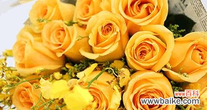 揭秘玫瑰的花语及其背后的意义 32朵玫瑰的花语——浪漫与承诺