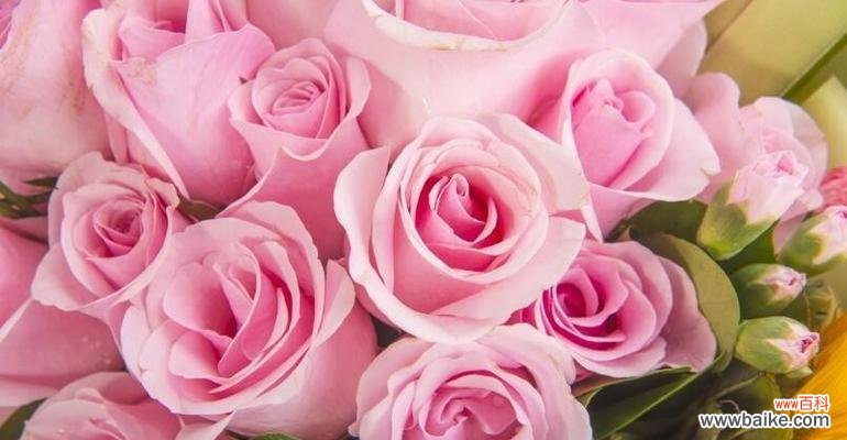 用花朵述说情感之语 30朵玫瑰花语的深刻寓意