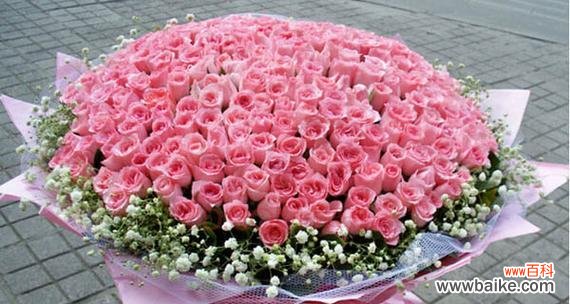 解读花海中的情感密码——87朵玫瑰花花语 浪漫的玫瑰花语