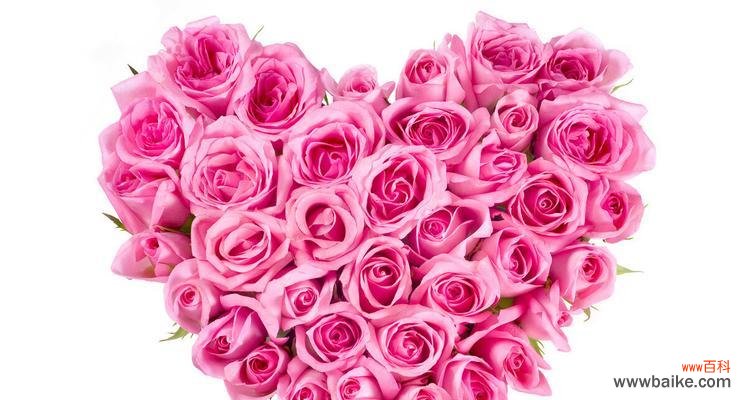 用花语传达深刻情感 75朵玫瑰花的花语及其意义解析