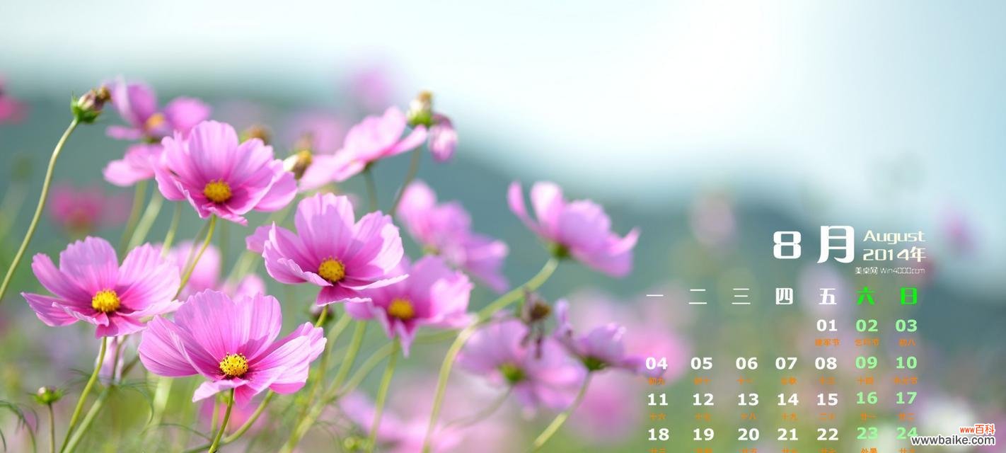 揭示八瓣花的深层含义 八瓣花的寓意和象征