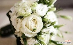 纯洁 白玫瑰花的象征意义