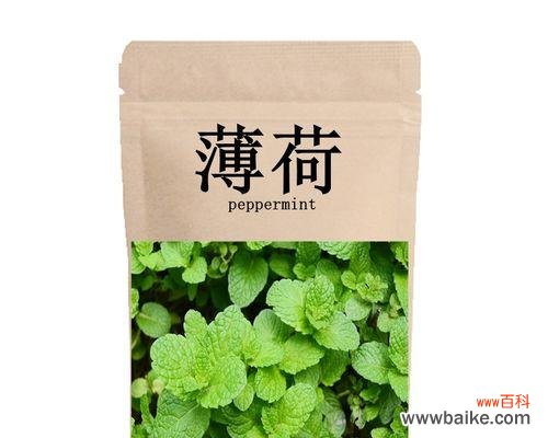 清新宜人的香气 薄荷叶的花语与寓意