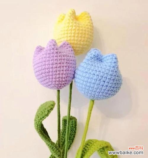 揭开暧昧花的面纱 暧昧花的神秘符号