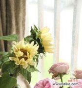 揭示花语中代表诚实的15种鲜花 以花语代表诚实的花——忠诚与真实的化身