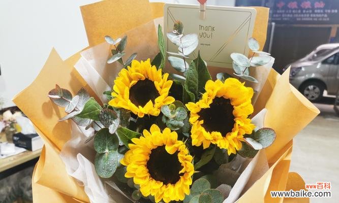 揭秘传统文化中寓意发财的花语 花开富贵,发财花语