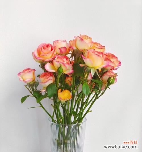 花语中的开心与快乐 开心的花花语