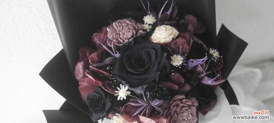 黑玫瑰花语的浪漫寓意与神秘之谜 黑玫瑰花语传递的深情与神秘