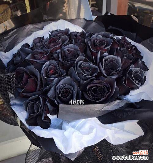 用黑玫瑰花语传达你的情感 黑玫瑰花语的赠送对象选择