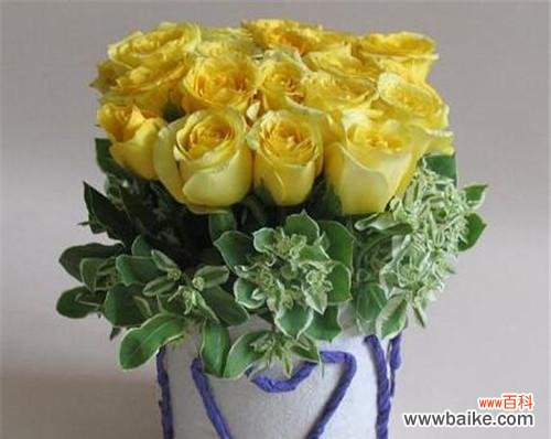 探究黄玫瑰的含义及象征 黄玫瑰