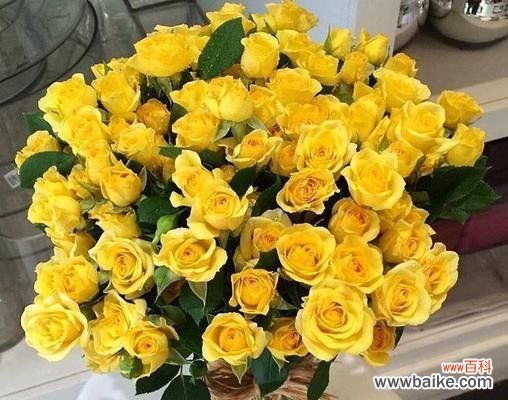 传递温馨与感激的黄玫瑰花语 黄玫瑰的寓意