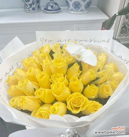 探索黄玫瑰代表的情感和象征意义 黄玫瑰的意义与寓意