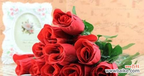 探寻红玫瑰背后的情感密码 红玫瑰花语的深意