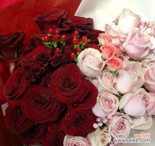 爱情与浪漫的象征-红玫瑰 红玫瑰与粉玫瑰的寓意