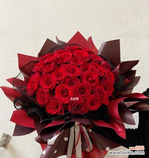 红色玫瑰 红色玫瑰的象征意义