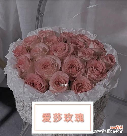 解读玫瑰花语中不同数量所代表的寓意 玫瑰花语中数量的隐含意义