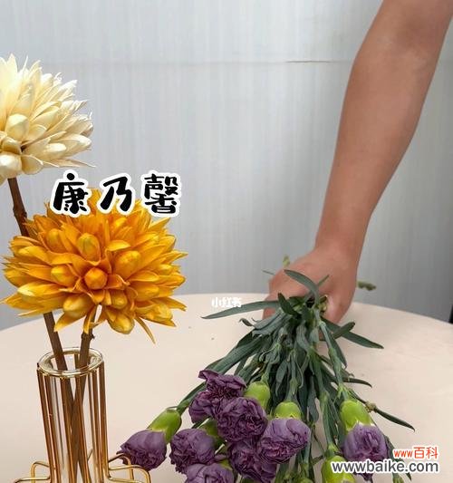 细腻 馨香绽放，心意相传——黄康乃馨的花语