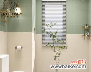 永恒之美 竹柏花语与传说