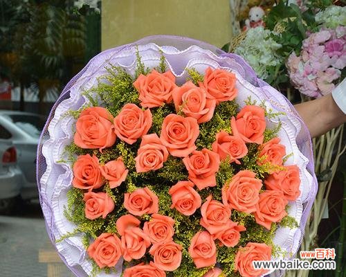 花语之美 九朵粉玫瑰的象征意义