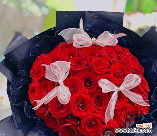 解析九朵玫瑰花所代表的情感与意义 九朵玫瑰花的象征意义及寓意