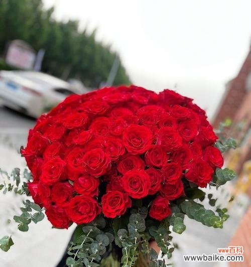 唯爱为纹身 九十九朵玫瑰