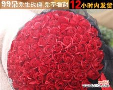 花的语言与生活的寓意 以九十九朵花代表的意义