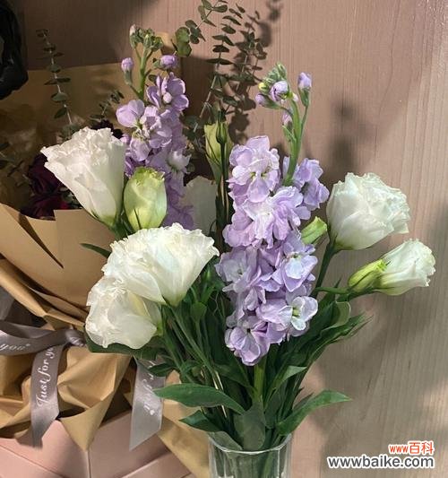 传递祝福与温暖的桔梗花语 桔梗花的花语之美