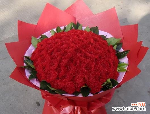 解读康乃馨的象征意义 康乃馨的象征意义及深远影响