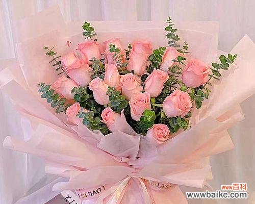探究19朵粉玫瑰代表的含义与传说 19朵粉玫瑰的象征意义