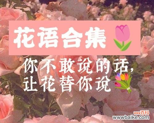 传递真挚情感的完美选择——以蓝桉花束送礼 以蓝桉的花语与送人适宜性
