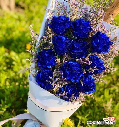 蓝玫瑰花的神秘与美丽 探秘蓝玫瑰花的象征意义