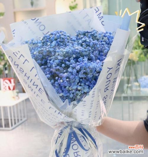 用蓝色满天星传达心意与情感 蓝色满天星花语之美丽的寓意与祝福