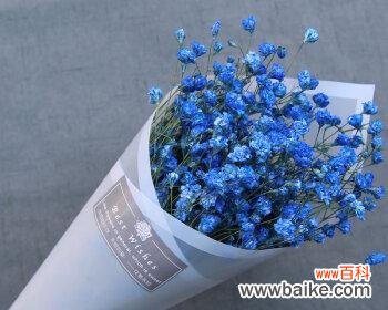 星空之下的美丽与憧憬 蓝色满天星