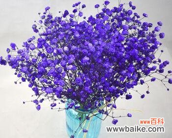 星空之下的美丽与憧憬 蓝色满天星