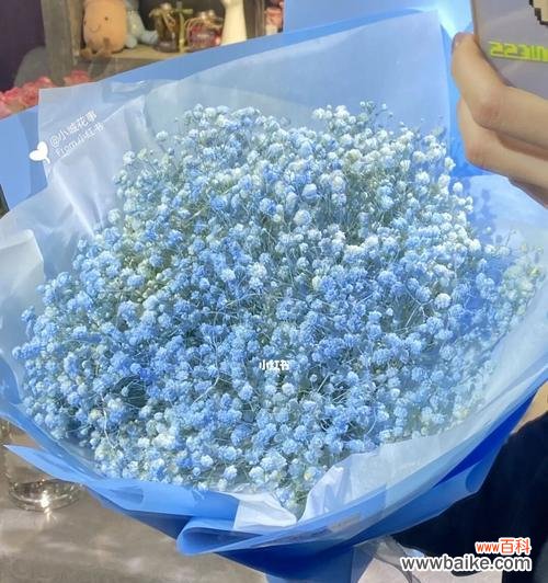 星空之下的美丽与憧憬 蓝色满天星