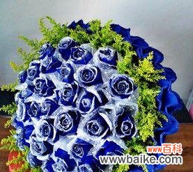 探究蓝色玫瑰花的美丽与深意 蓝色玫瑰花的寓意与象征意义